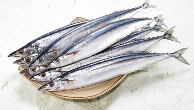 秋刀魚