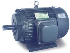 交流電動機(jī)