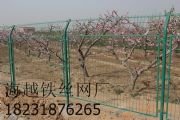 @FzW(wng)ɽW(wng)(chng)؇ھW(wng)(D)