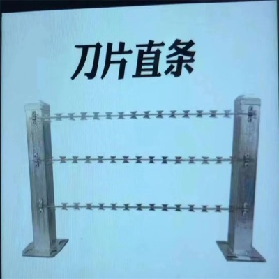 ӱ̽zL\S̩̰݇ȫoW(wng)wWУС^(q)IW(wng)