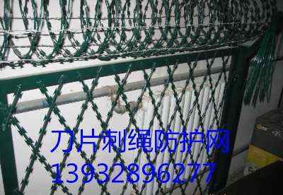 Ϸo(h)Ƭ̾W(wng)ܿڎ̇