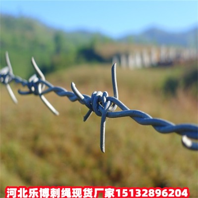 ˮKF(xin)؛SҼֵ·B(yng)o䓽zWR·B(yng)oFzW