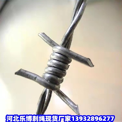 |·̾WFX·B(yng)oFzW|·B(yng)o䓽zW