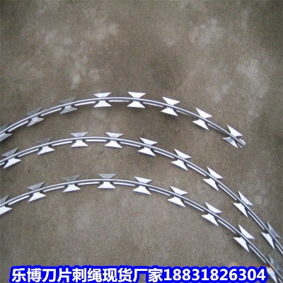 \KS(chng) L(zhng)ɳF·o(h)K ޲P䓵Ƭ̾W(wng)