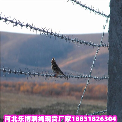 \KS l(xing)\䓽zW(wng) (yng)\Fz