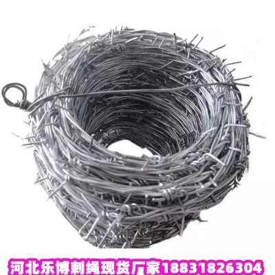 㽭\KS(chng) R12̖(ho)ٹ·䓽zW(wng)