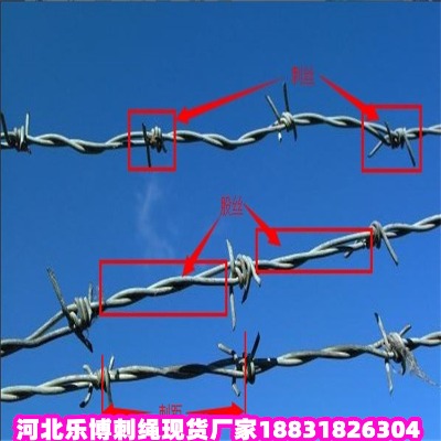 _\KS ҈@2.8׹@oFz