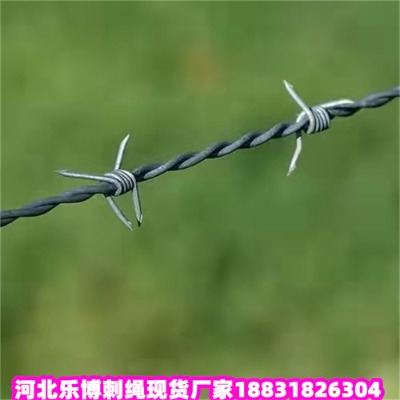ɹ\KSֱ100pvcܴ̾W(wng)