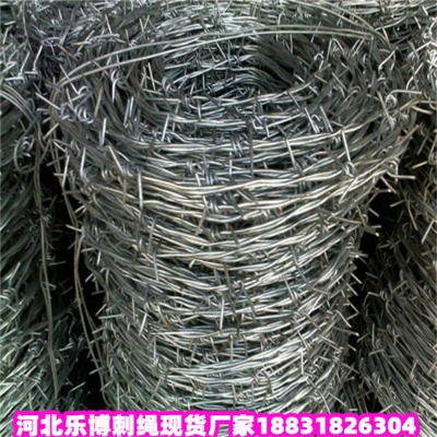 \KS8\䓽zW(wng)F(xin)؛