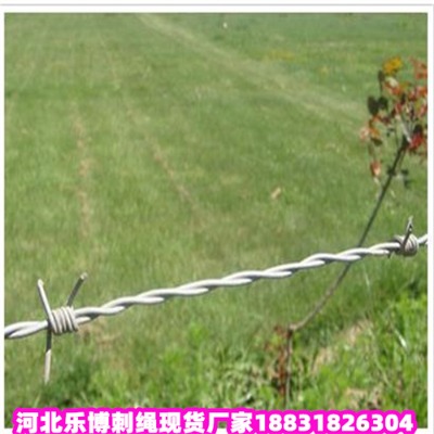 V|\KS7Ȧ䓽zW(wng)F(xin)؛(yng)