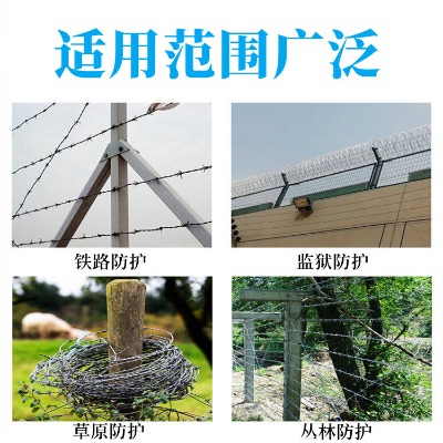 ɹŇFza(chn)S