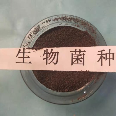 ΢(f)ϾN͵͜ؿ_ԏ(qing)S҈rgӭԃ