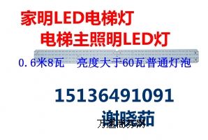 LEDݟLED