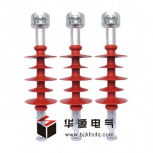 (yng)  FXBW-10KV/100(f)ϑʽ^ r