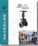 ߜظ߉ly||M(jn)ڸߜظ߉lyƷƣSңr(ji)
