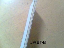 (bio)(zhn)չ壬LչչPVCչ̔λչ