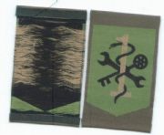 ޲(D)
