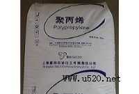 PP K8003 Ϻِ