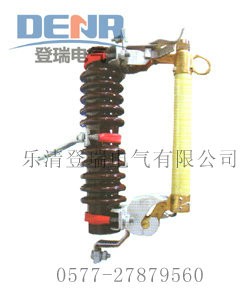 RW11-10/100,RW11-10/100F(xin)؛