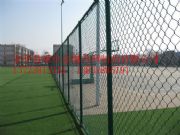 \W(wng)|P䓹W(wng)|W(xu)Уوo(h)W(wng)|FzW(wng)b