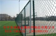 W(xu)УوFzW(wng)ʩb|FzW(wng)|wFzW(wng)r(ji)|