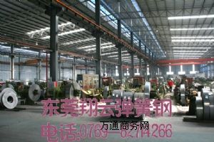 65MnȫӲ䓎S