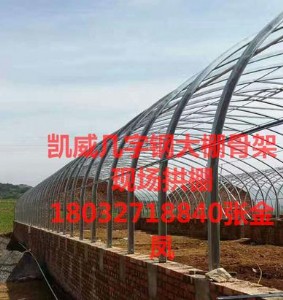 Sֱ\7045Ǽ܎䓙Ca(chn)S