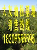 磬90-120ɘ(D)