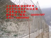 snsӷoW(wng)|(yng)봨hïhӾW(wng)SңԾW(wng)