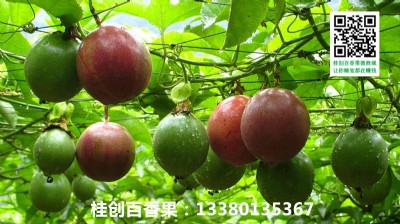 ϺУϺl(f)rNVԽϰa(chn)
