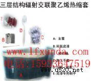 FRTտs/ݗ佻(lin)ϩտs/CEP-1տs/A׈Aʽտs