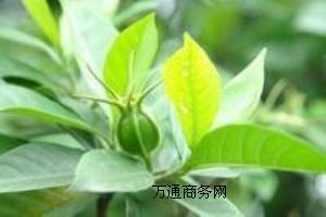 dS(yu)|(zh)ʳƷdS