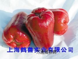 (yu)|(zh)ʳƷ(j) L-O(png)