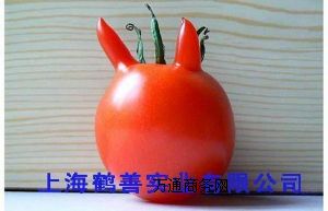 ʳƷᲴc