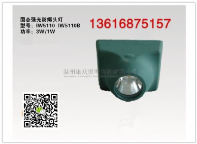 iw5110biw5110br̑B(ti)^
