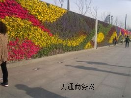 ƌW(xu)wGǰֱGO(sh)ӋGʩ
