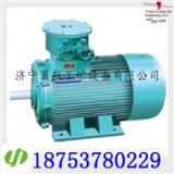 YBK2V÷늙C YBK2-250M-4V÷늙C