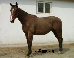 NRB(yng)ֳNRB(yng)ֳNRB(yng)ֳأNRB(yng)ֳg(sh)