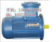 YBK3-180M-4ϵ늙C/½YB2늙C