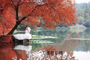 ʥzӰ⾰鼆Ոr鼆zӰ⾰]