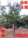 5ɽ高8ɽ高䣬10-15ɽ高
