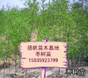 (yng)磬rɽ磬Ʒ