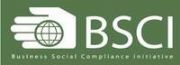 BSCI(yn)S(D)
