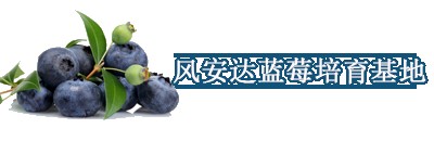 xrg{ݮl(f)Nֲ߮a(chn)ǉ