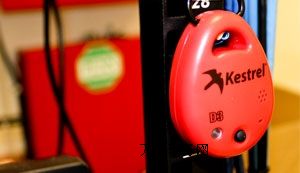 kestrel dropo(w)(xin)h(hun)ӛ䛃x