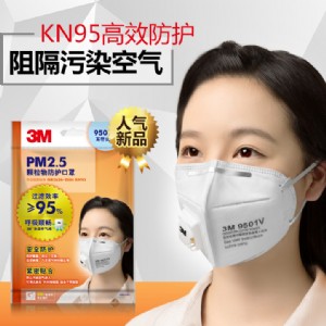 3m9501v3ֻb