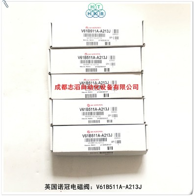 v61b511a-a213jӢ(gu)Z늴y