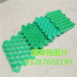 xֲݸF(xin)؛+xֲݸ(bo)r(ji)