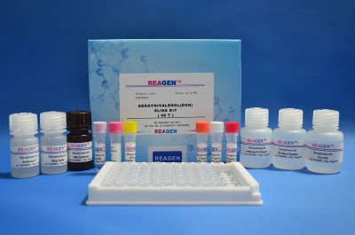 REAGENEALSEzyԇ`șzy~r