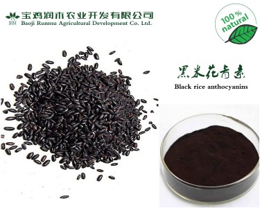 ȡﻨ25W(bio)
